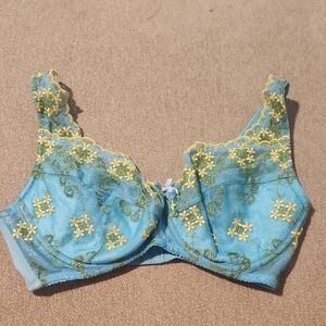 FREDERICK'S Women's   Floral Embroidered Blue and Yellow Bra With Underwire 34DD